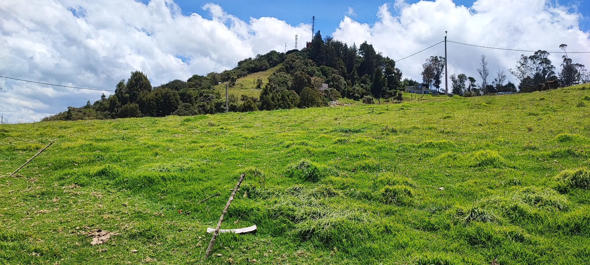 eyJidWNrZXQiOiJwYWRzLWltYWdlcyIsImtleSI6ImExMGZjMmVmLTYwM2MtNGU3MC1hMGRiLTEwNzQxZGE2ZWUwZC5qcGciLCJlZGl0cyI6eyJyZXNpemUiOnsiaGVpZ2h0Ijo5MDAsImZpdCI6Im